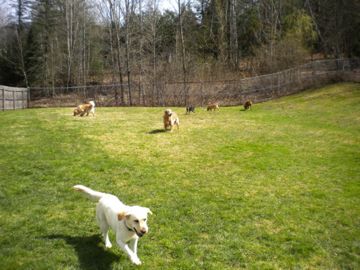 Nice sunny day